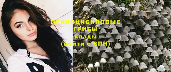 твердый Горняк